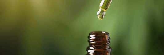 ¿Qué es el CBD? - Guía Completa sobre el Aceite de CBD y sus Beneficios